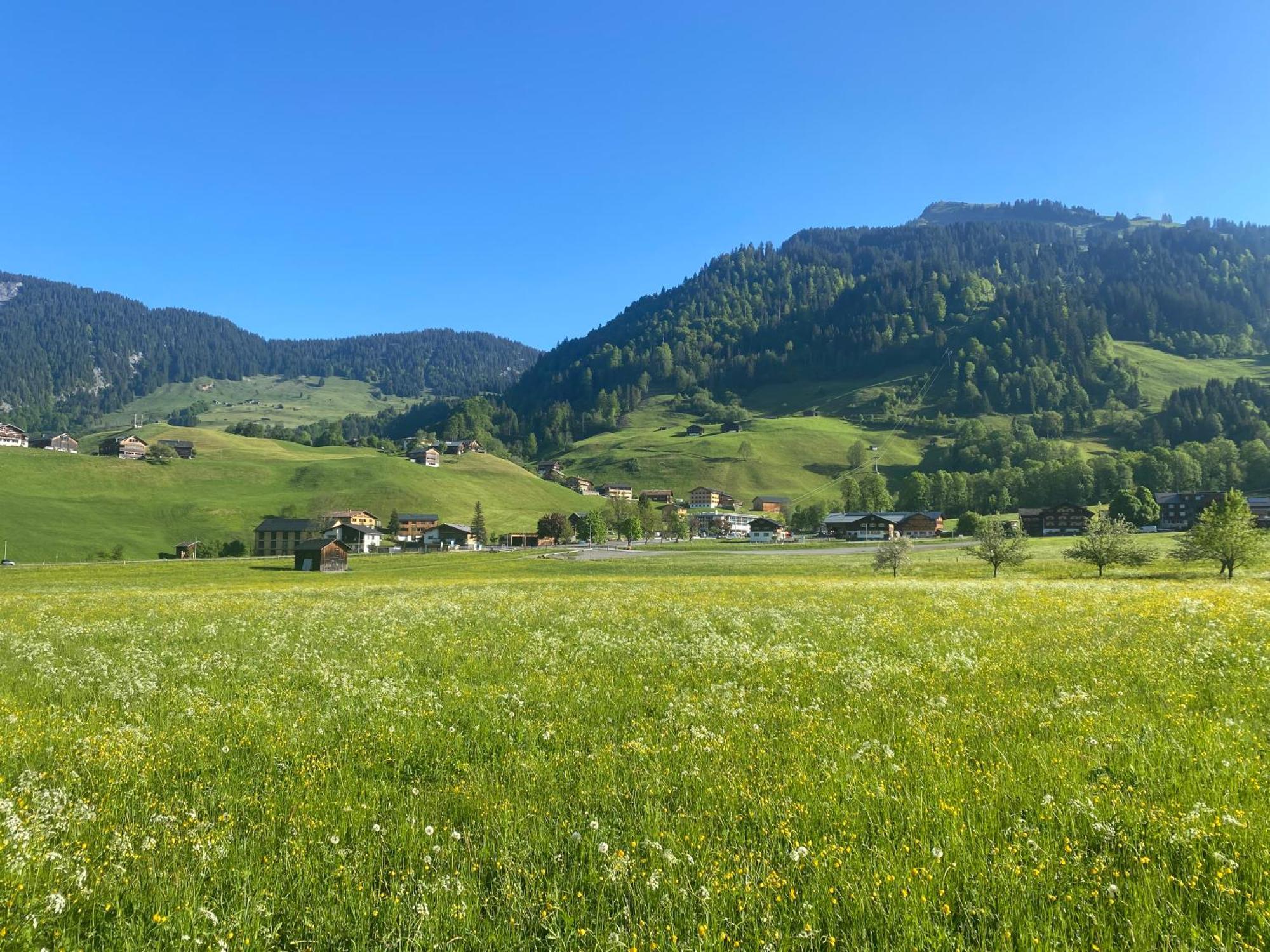 Haus Diedams Schoppernau Εξωτερικό φωτογραφία