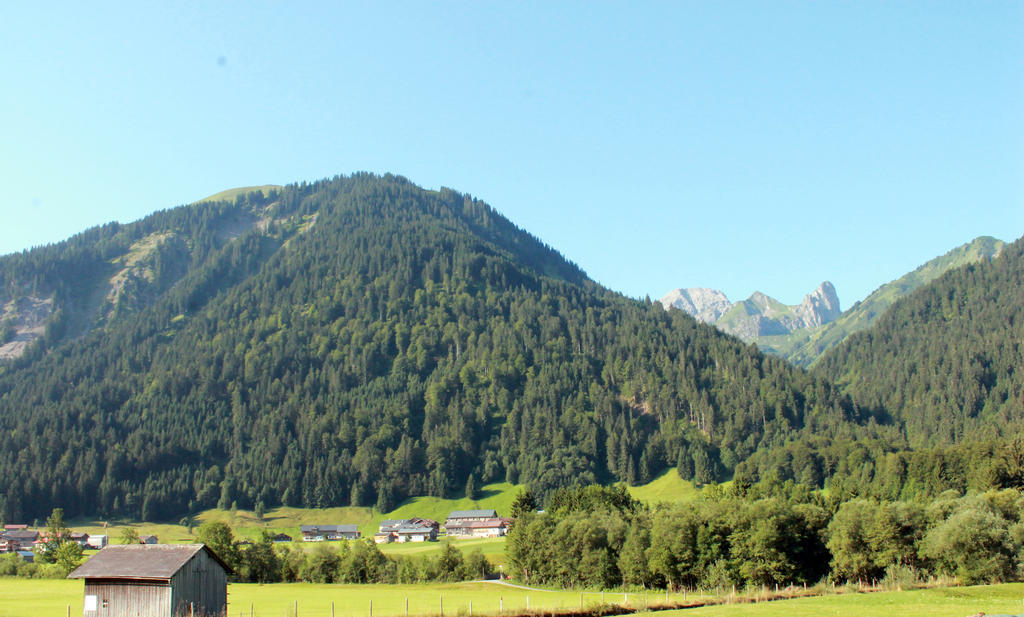 Haus Diedams Schoppernau Εξωτερικό φωτογραφία